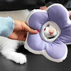 꽃피는 강아지 고양이 쿠션 넥카라 퍼플 S 쿠션넥카라