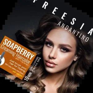 프리지아 헤어컬러 프리지아솝베리 풀3+리필1 셀프 즐거운염색