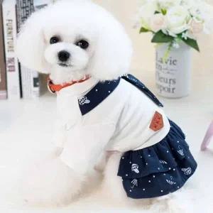 [골드스마일]강아지 스카프 원피스 소형견옷 강아지치마 댕댕이옷