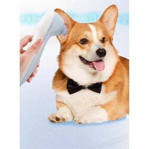 개 귀 건조기 목욕 핑크 탈취 귓병 강아지 말라세지아