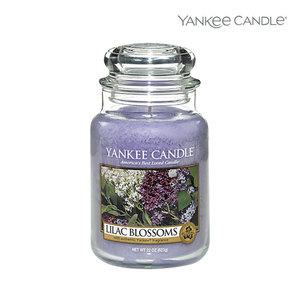 양키캔들 라지자 라일락블라섬