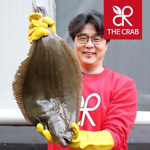 완도 제주 광어 대광어 필렛 200g 숙성 광어회 찰 황금 생선 활어