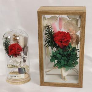 선물용 프리저브드 카네이션 유리돔형 액자형 2종
