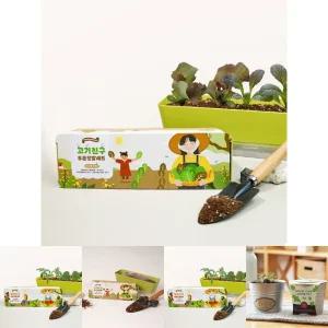 상추키우기 식물재배기 텃밭 씨앗 화분 세트/키트/채소/자연/관찰/키우기/홈가드닝/어린이집/학교/유치원
