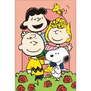 DIY 페인팅 행잉 피너츠 스누피 꽃 밭 20X30 (WFGOZEO)