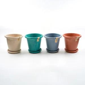 갑조네 피클레온 화분 환경친화 플라스틱프리