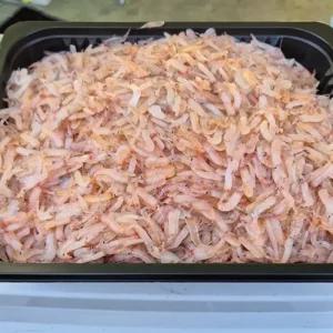 국내산 김장용 생새우 동백하 1kg