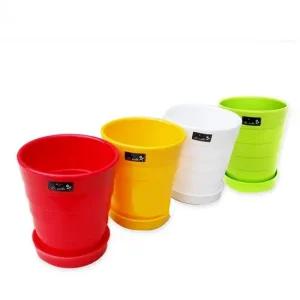 파스텔 미니화분 색상랜덤) 작은 선인장 칼라