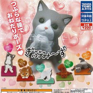 기부미즈 애절한 동물의 부탁 5종 피규어 세트 포즈