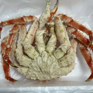 싱싱햇 러시아 킹크랩 자숙 레드킹크랩 시세 싯가 5kg 1마리