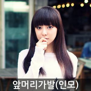 앞머리가발/인모/고열사/포니테일/한복/부분가발모음