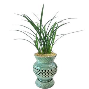 [젠틀맨플라워]철골소심투각분 [e,10014] [동양란/동양난/서양란/서양난/승진/인사이동/확장/취임/축하