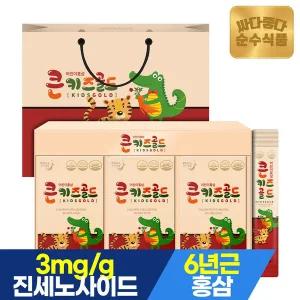 [순수식품](전용쇼핑백) 6년근 큰키즈 골드 어린이 홍삼 1박스(30포) / 진액 스틱 면역력