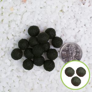 국내제조 건강한 마리모 3개 수경식물 애완식물 행운의 마리모 키우기