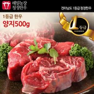 [해밀농장]전라도 청정한우 1등급 양지 500g