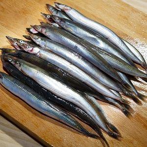 국내산 생물 양미리 1kg