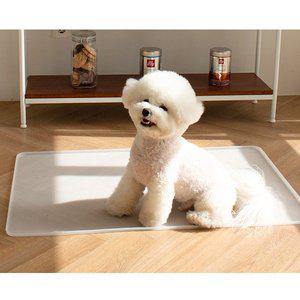 [초코펫하우스] 실리콘 강아지배변판 논슬립 퍼펙트 토일렛 소변 흘림 방지턱 가방 포함