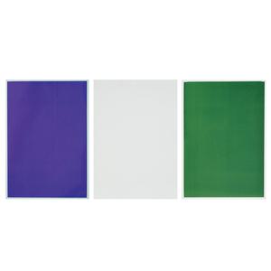 [더원사이언스] 시온 스티커 세트(3종세트) KSIC-3264/3264/열변색/5학년1학기/과학교구