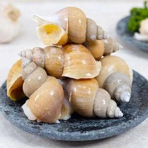 활 연안 자숙고동 230g