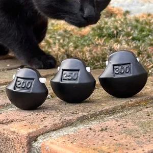 키우라 텁 타이라바 헤드 대구라바 참돔낚시 K-917 제주도권