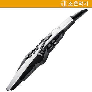 전자색소폰 / 에어로폰 / 롤랜드 / Roland AE20 AE20 조은악기