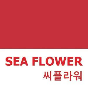 부산출발 가볍게 떠나는 대마도 2일(일본 선박여행 배편)