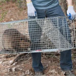 야생동물 포획틀 두더지 통덫 길고양이 안전포획틀