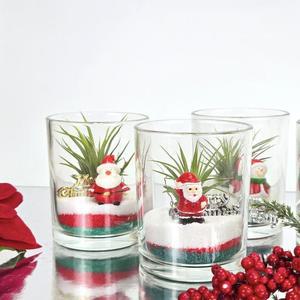 크리스마스 테라리움 다육이 만들기 키트 (7oz)