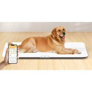 대형견 전자 저울 애견샵 반려동물 몸무게 펫 체중계