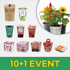 10+1 식물 키우기 올인원 키트 화분 포함 꽃 허브 새싹 콩나물 기르기 세트 공기정화식물 재배