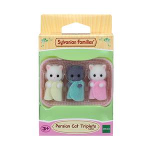 실바니안 페르시안 고양이 세쌍둥이