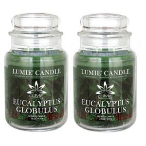 르미에 630g 기본형 라지자 캔들_유칼립투스2개