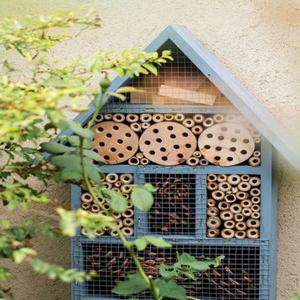 곤충호텔 생태 관찰 야외 사육통 서식지 벌꿀 나비
