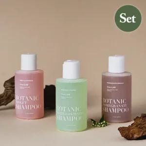[탈모/비듬/영양] 정직한실험실 보타닉 샴푸 3종 세트