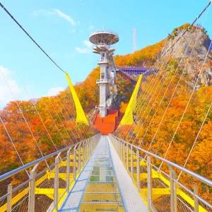 원주 소금산 그랜드밸리 당일 여행 케이블카포함 2025 가을 단풍 버스 투어