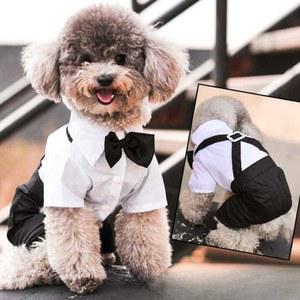 강아지 정장 강아지턱시도 셀프 애견 애견의류 화견 생일파티옷 벨벳 비숑 세련된 발송 견동
