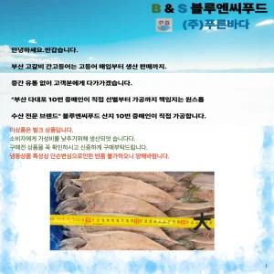 푸른바다 고갈비 대 1미 300g / 400g  10미  [3.25kg/3.5kg]