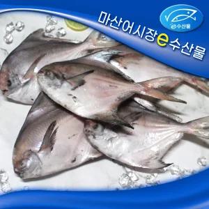 국산 병어 횟감용 냉동병어 1kg 8-10마리 회 무침 조림 구이 병에 급속 냉동병치 찜
