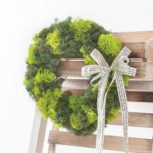 스칸디아모스 공기정화식물 리스 믹스 25cm 3컬러 인테리어 천연 이끼 벽장식 소품 플랜테리어