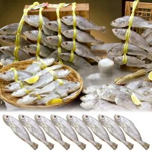 영광 법성포 서상인 장인 민어굴비 보양식 제수용 명품 반건조 손질 생선 찜 조림 구이 민어 굴비 8마리