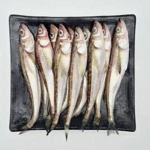 에스엠 마켓 동해안 도루묵 1KG 알도루묵 제철음식 생선구이