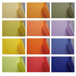 (종이문화)120g색지 뉴씨플레인지 칼라색지 B4 A3 4절