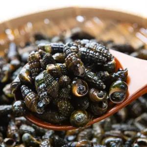 동강 자연산 생다슬기 자숙다슬기 1kg