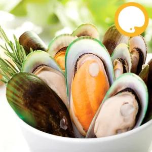 냉동 그린홍합, 800g 자숙 뉴질랜드 반탈각 하프