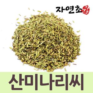 자연초 산미나리씨 펜넬 회향 1kg
