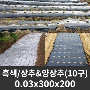흑색 유공비닐 상추/양상추 0.03x300x200 (10구) 유공 잎채소 멀칭비닐 농업용 농사용