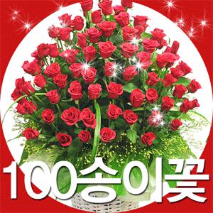 [풍성한 장미100송이모음]꽃바구니/꽃다발/꽃상자/프로포즈/이벤트/특별한날/전국당일무료배송