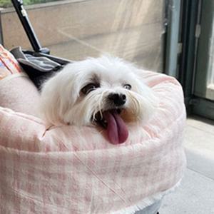 강아지 고양이 개모차쿠션 가드 방석 턱받이 프레임 덮개