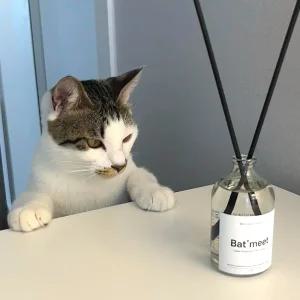 바트밋 고양이 방향제 강아지 디퓨저 반려동물 아로마 반려견 반려묘 애견