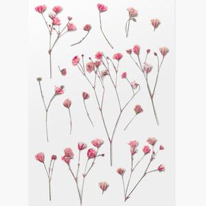 압화스티커 안개꽃 팬시 다꾸 폰꾸 꽃 스티커 책갈피 북마크 꾸미기 재료